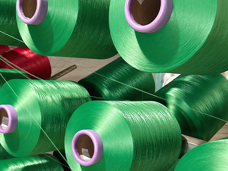 Moss Is Silent, Yarn Speaks – The Biomimetic Narrative of ACY