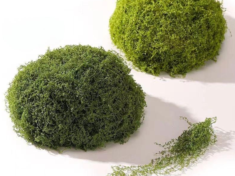 Durability Advantage of ACY Moss Simulation Viewed from 90% Compression Recovery Rate