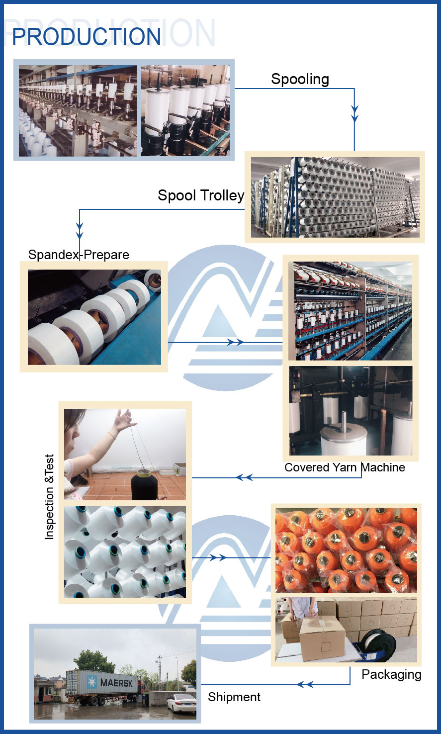 production of SCY-01